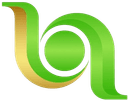 The Nine One D Plus Logo